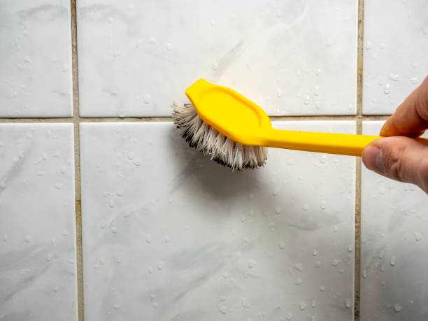 Best Post-Flood Mold Remediation in Glen Carbon, IL