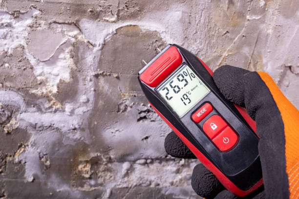 Best Crawl Space Mold Remediation in Glen Carbon, IL